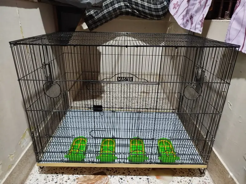 Bird Cage | Size 3ft x 2ft | Condition 10/10