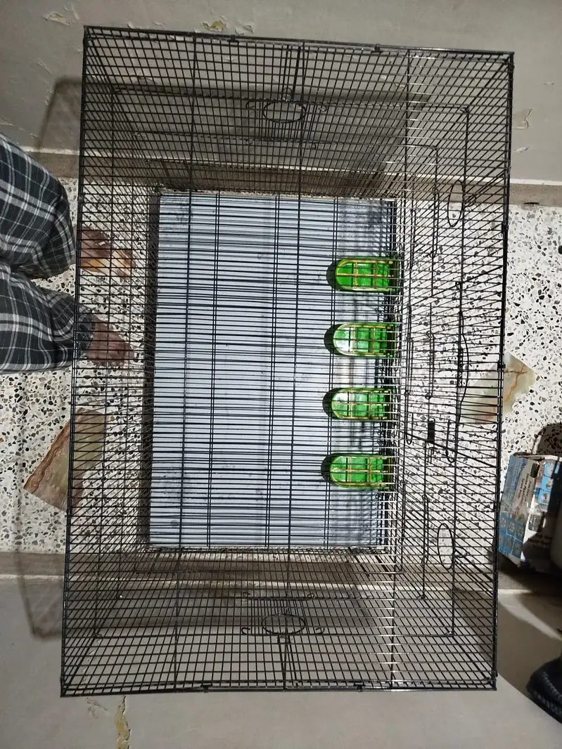 Bird Cage | Size 3ft x 2ft | Condition 10/10 — photo 2