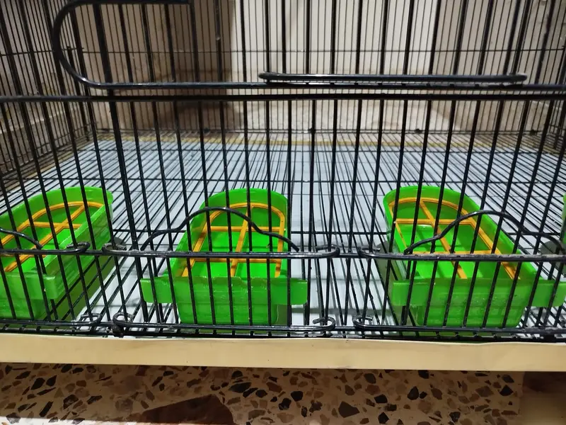 Bird Cage | Size 3ft x 2ft | Condition 10/10 — photo 4