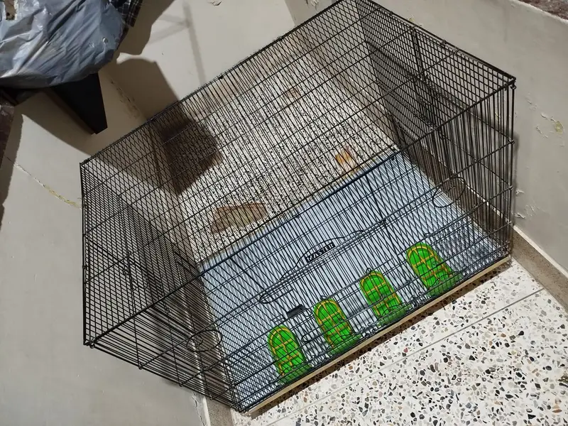 Bird Cage | Size 3ft x 2ft | Condition 10/10 — photo 5
