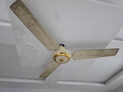 I want to sell my GFC Fan