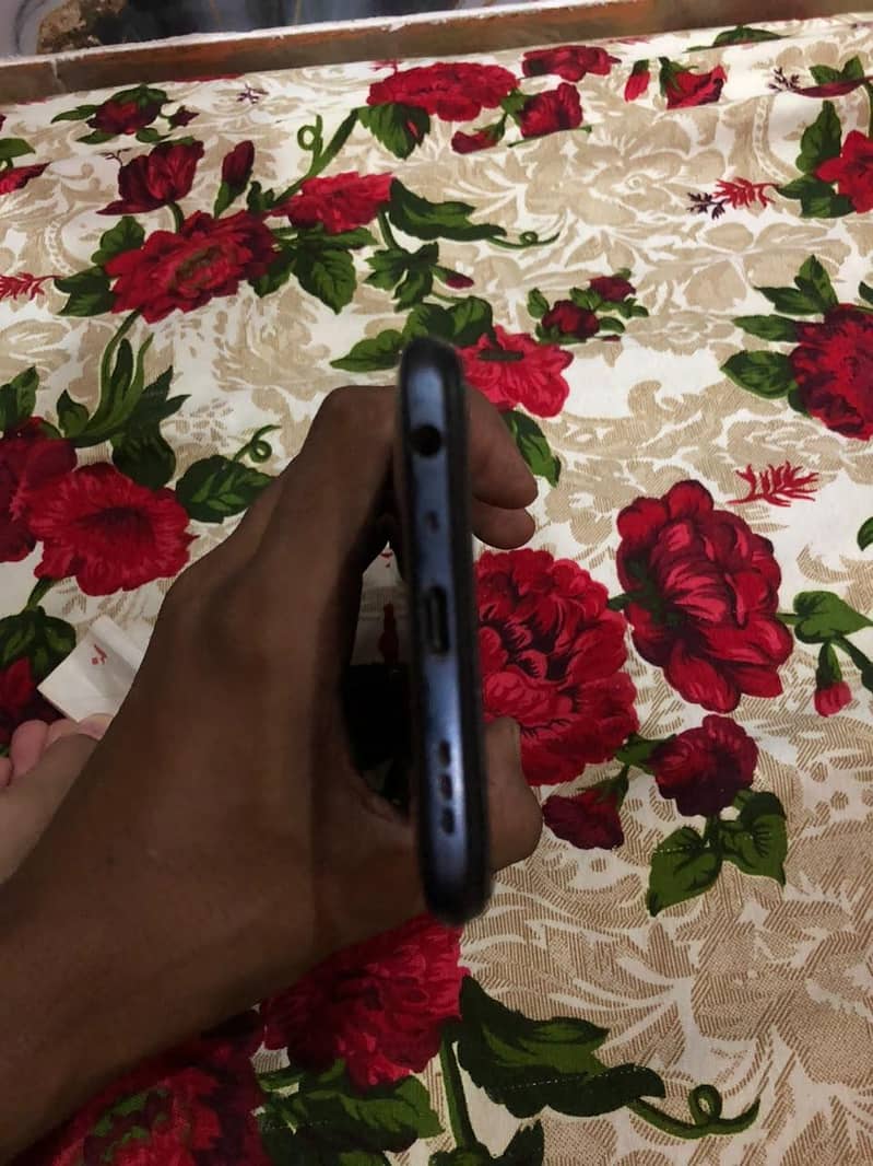 03434768061 2
