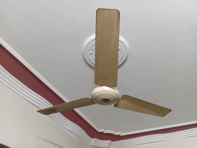 PAK Fan for sell