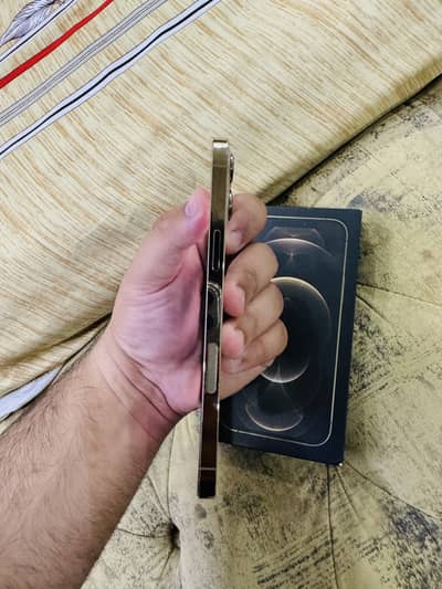 Apple iPhone 12 Pro Max