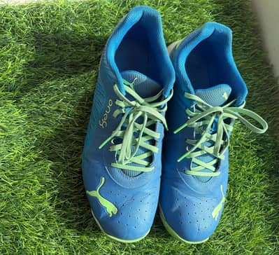 Puma Rubber Spike Cricket Shoes – EU 43