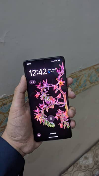 Google Pixel 6 Official PTA approved