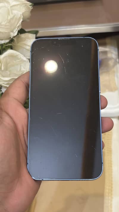 Apple iPhone 13 256GB