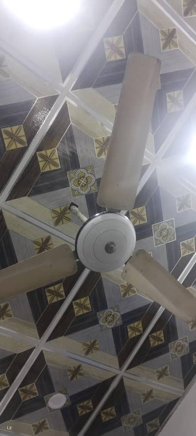 super speed jeniun fan