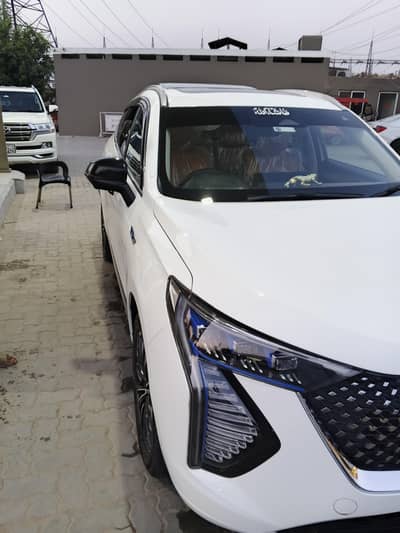 Haval Jolion hev 2025