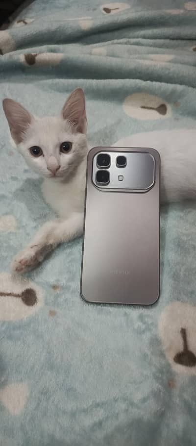 Infinix Other Model