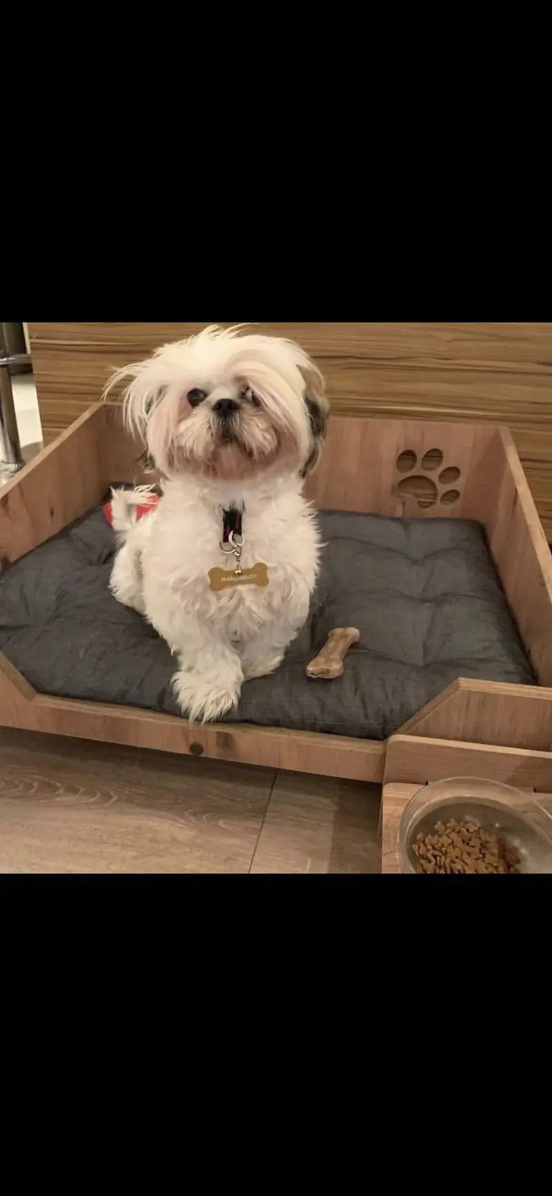 Solid wood dog house — photo 6