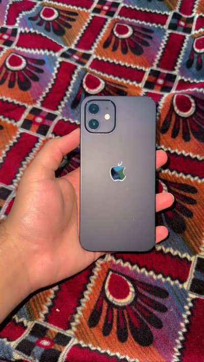iPhone 12