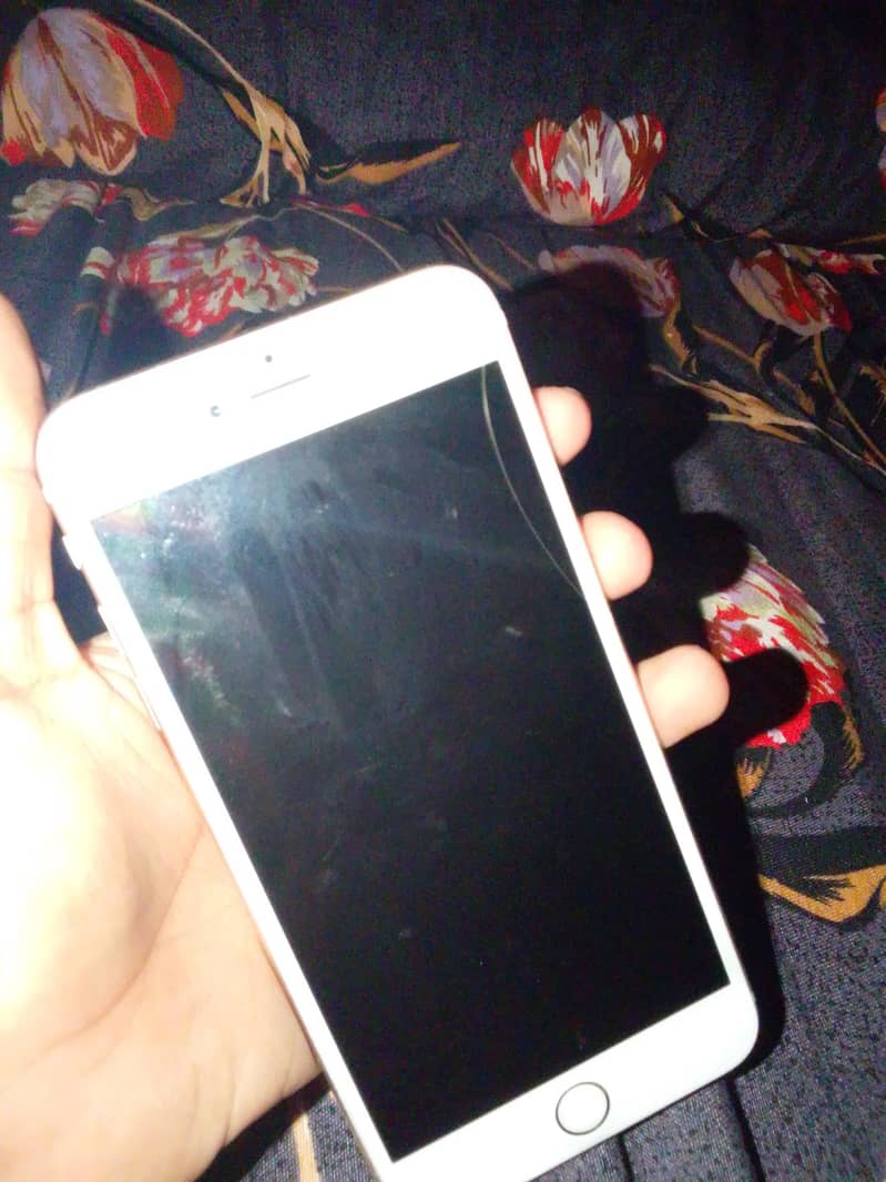 Apple iPhone 6 Plus 1