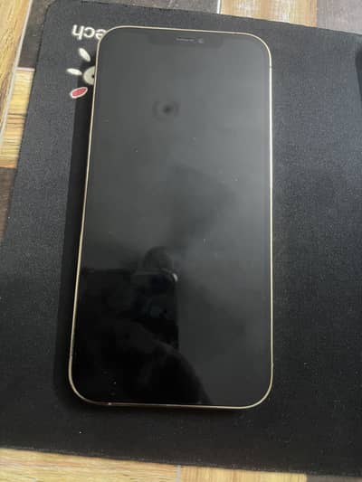 Apple iPhone 12 Pro Max