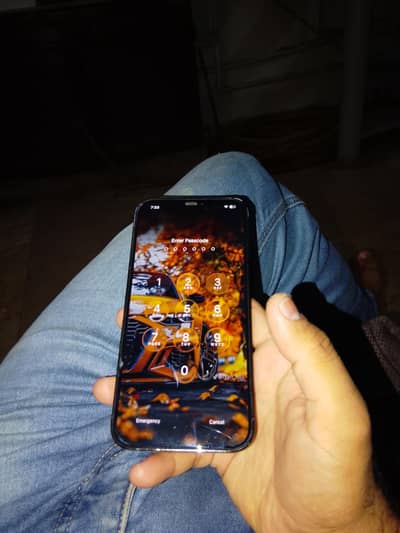 Apple iPhone 12 Pro Max