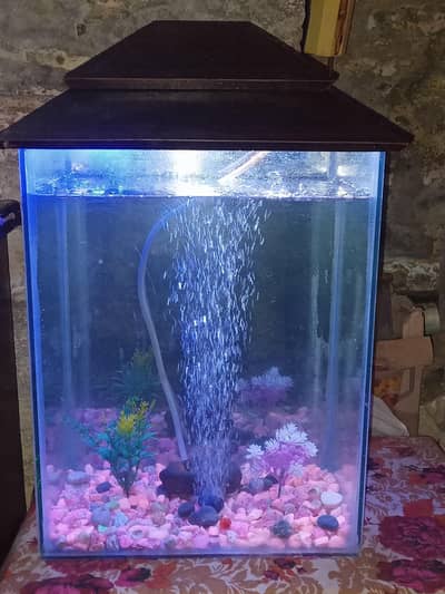 Just 1 Month Used Fish Aquarium With Hood For Sale With Accessories