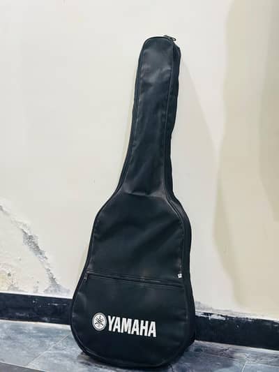 Acoustic Guitars