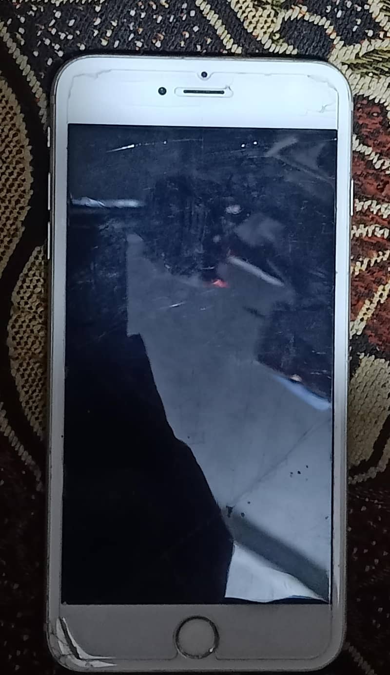 Apple iPhone 6 Plus 3