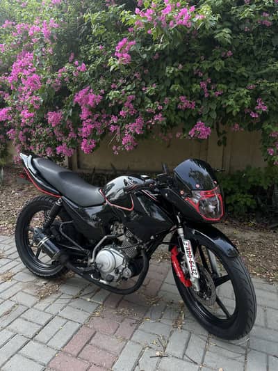 Yamaha YBR 125 (2021 Model) – Fully Modified Project Bike For Sale