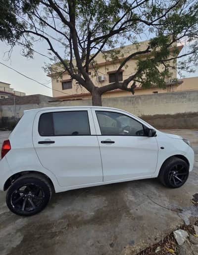 Suzuki cultus