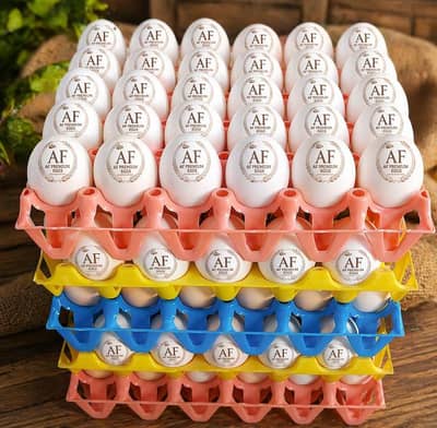 Premium frees Eggs