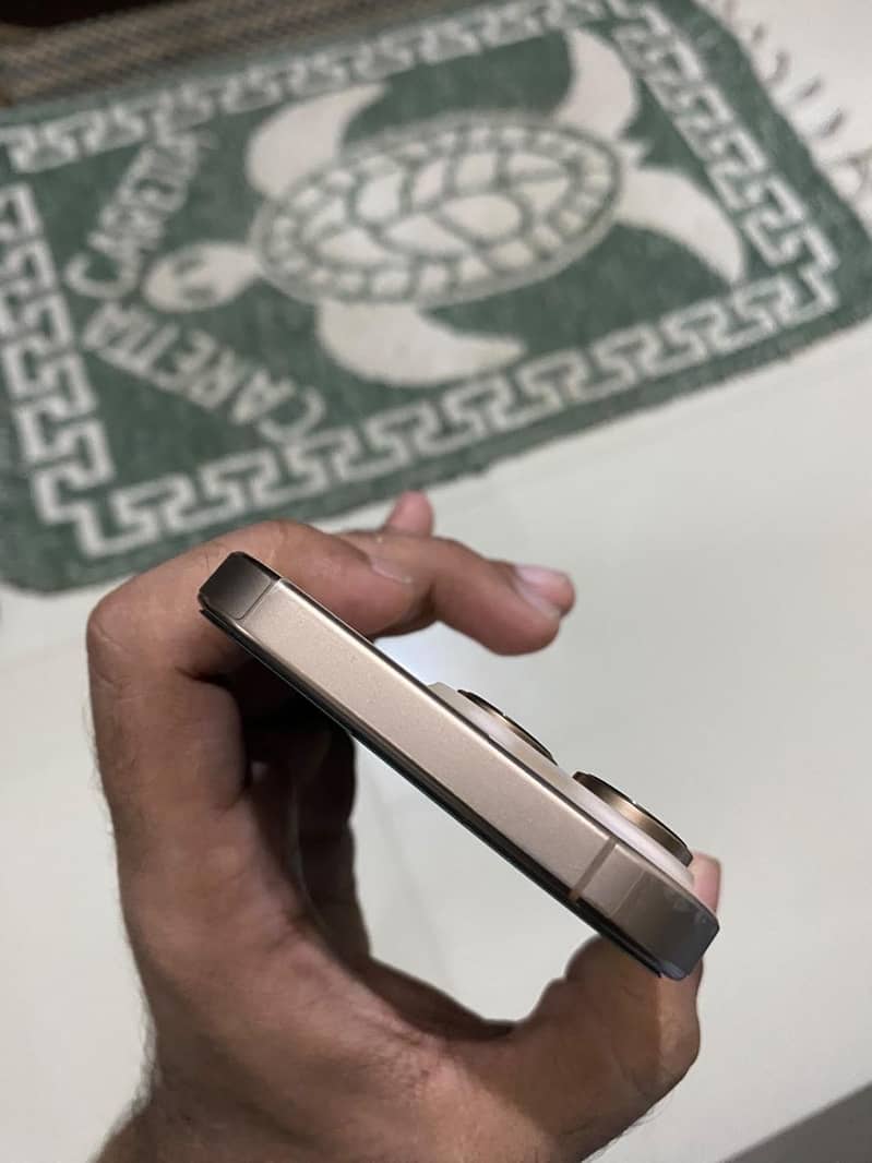 Apple iPhone 16 Pro 4