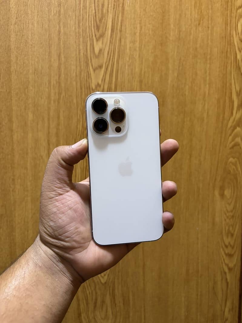 Apple iPhone 13 Pro 0