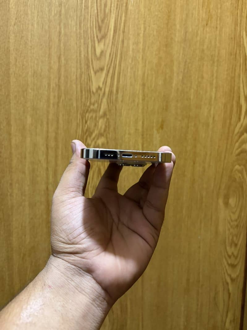 Apple iPhone 13 Pro 4