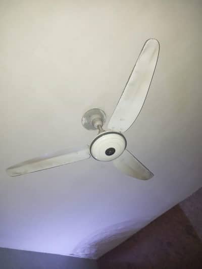 3 ceiling fans in working condition