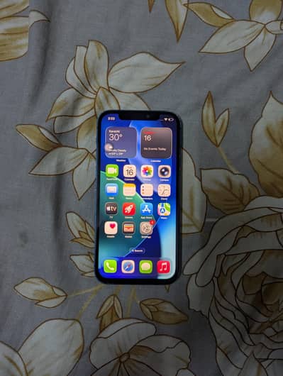Apple iPhone 12
