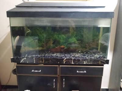 aquarium