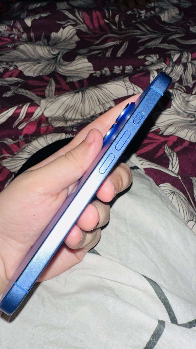 iPhone 16 2