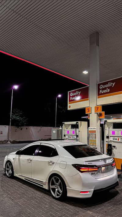 18 vossen