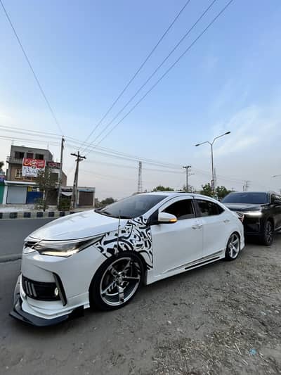 18 vossen