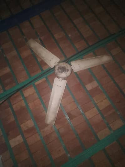pak fan