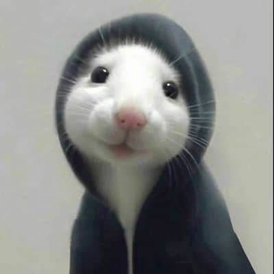 Ali
