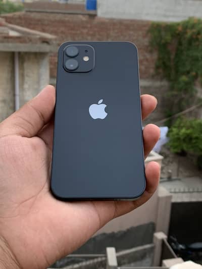 Apple iPhone 12