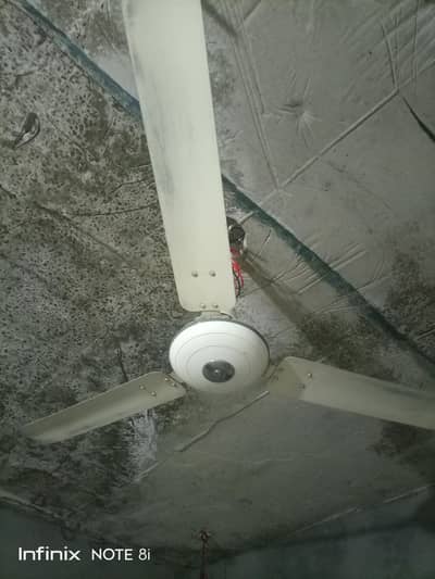 Royal Fan Full working 100%