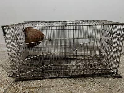 bird cage