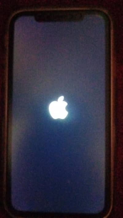 Apple iPhone XR convert 16pro