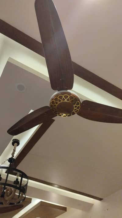gfc celling fans