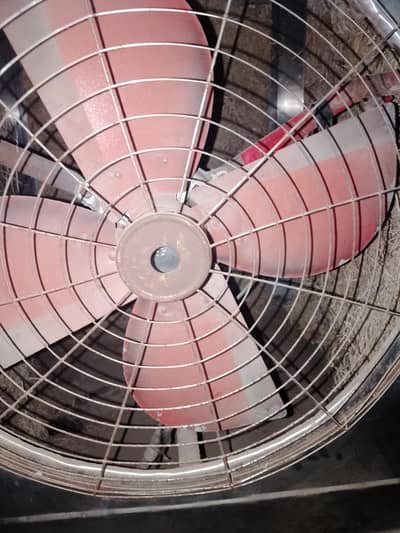 steel cooler and best guality