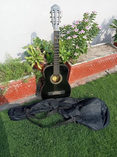  Guitar with cover