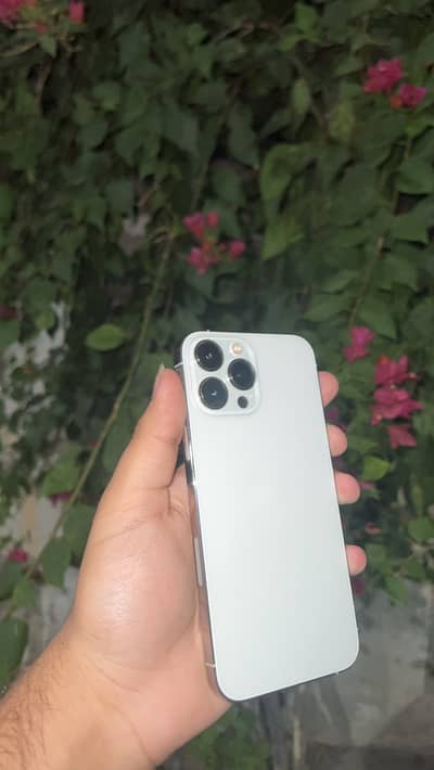 Apple iPhone 13 Pro Max