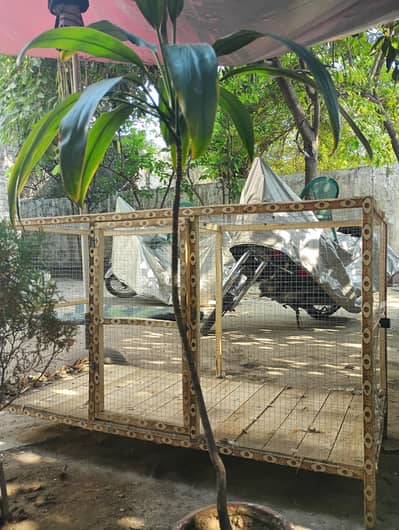 Large Cage For Sale