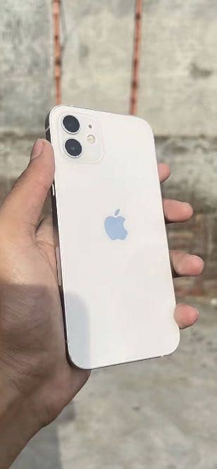 Apple iPhone 12 1