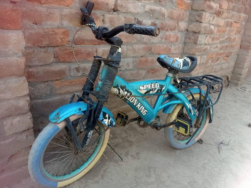 Bicycle 0