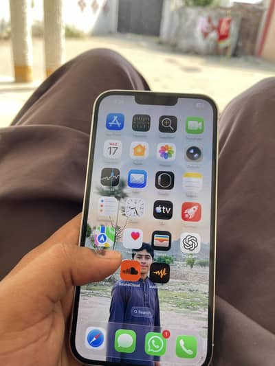 Apple iPhone 13 Pro Max