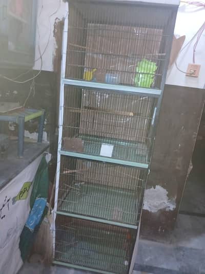 parrot cage