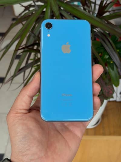 IPhone XR Blue